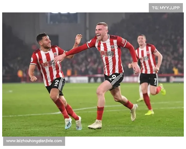 加的夫城足球队参与的各大联赛及其历史表现分析