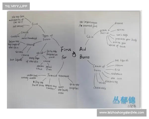 探索坎贝尔多元位置角色的多维视角与文化意义