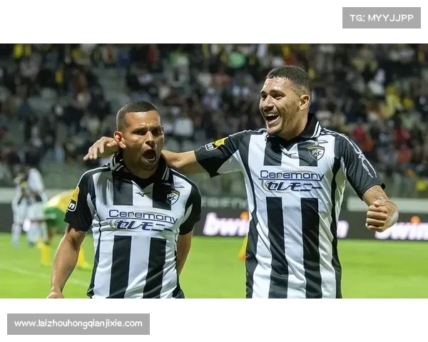 波尔蒂足球俱乐部历史沿革与命名背后的文化渊源探析